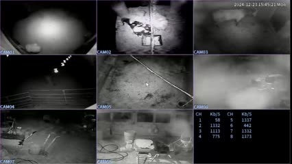 Owens' Top of the Hill Farm cameras